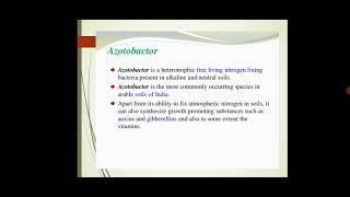 AsstProfPKGakkhad Production of bacterial biofertilizers SYBSc Microbiology MB222 Lec 39 [upl. by Jaehne]