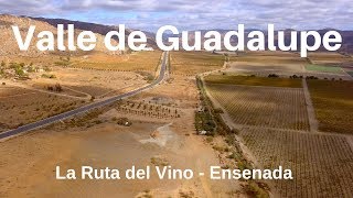 Valle de Guadalupe  Ensenada 4K  Armando la Ruta [upl. by Blanchette662]