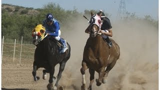 Carreras de Caballos en Esqueda Son Rancho Los Gavilanes 14 de Junio 2015 [upl. by Donohue]