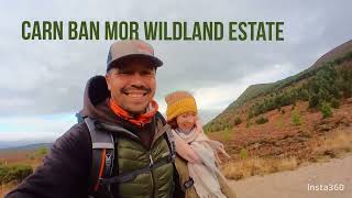 Wildland Estate Cairngorms Carn Ban Mor walk Waterfalls wild winds and peregrines [upl. by Hillman]