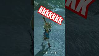 Uma bica na caveira kkkk switchonline nintendoswitch zeldatearsofkingdom [upl. by Ventre438]