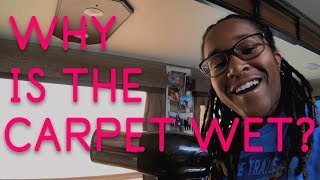 Ep29 Why is the carpet wet damprid rvlife [upl. by Elroy999]