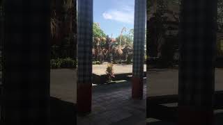 Barong dance bali barongan bapangbarong fypシ゚viral hiburan nature [upl. by Oulman242]