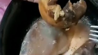 Huge sea shell and meat inside [upl. by Heiner210]