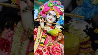 Adharam Madhuram Vadanam Madhuram Song by Lopita Mishra Krishna Bhajan Artist Lyrics Recording [upl. by Assen]