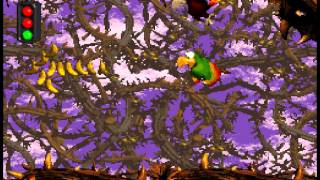 Donkey Kong Country 2 OST Super Nintendo  Track 1829  Bad Bird Rag Screechs Sprint [upl. by Monro361]