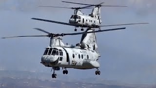 USMC CH46 Sea Knight quotPhrogquot • Last Flight Over San Diego [upl. by Macario]