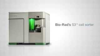 The S3™ Cell Sorter Automated Approachable Affordable [upl. by Rimisac457]