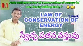 FREELY FALLING BODY EXPLAIN IN TELUGU  LAW OF CONSERVATION OF ENERGY PHYSICS ONLINE CLASSES [upl. by Armalla133]