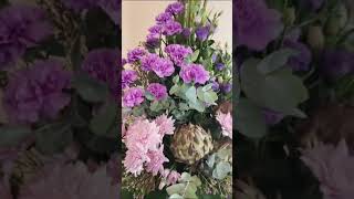 horticulture shortsvideo flowers [upl. by Cade766]