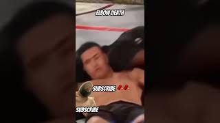 Etreme elbow mma ufc mmafighting knockoutoftheyear [upl. by Ehtnax864]