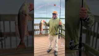 crabbing fishing nature fishspecies crabbers COMMENT  LIKE SHARE amp SUBSCRIBE THANK YOU [upl. by Spooner54]