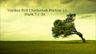 Vayikra Brit Chadashah 24 [upl. by Stambaugh]