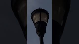 Streetlight burnt out [upl. by Relyat524]