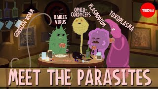 How brain parasites change their hosts behavior  Jaap de Roode [upl. by Anilatac37]