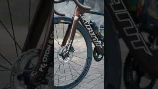 Giant Propel Advanced 2 [upl. by Zerlina939]