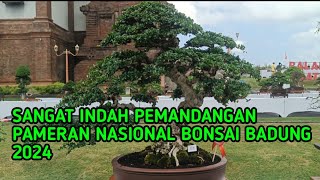 PAMERAN NASIONAL BONSAI BADUNG TAHUN 2024 [upl. by Tioneb]