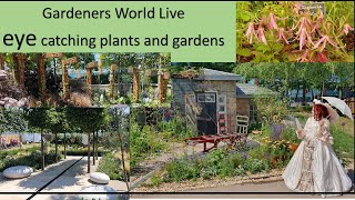 Gardeners World Live 2023 eye catching plants and gardens [upl. by Lessirg335]