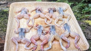 Cooking Crispy Frog In JungleZiro CooksWildernesscookingprimitivecooking [upl. by Euf]