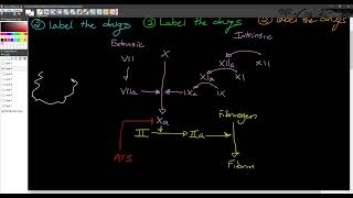 1210  PCOL Final Review Anticoag AlphaBeta Drugs [upl. by Ordnassela]