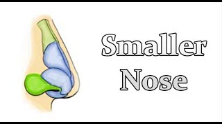 Shrink Your Nose  Get a Smaller Nose  Permanent CHANGE SUBLIMINALFREQ [upl. by Heber]