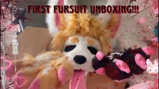 FIRST FURSUIT UNBOXING [upl. by Alisha]