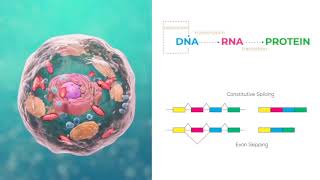 Transcriptomics 1 Introduction to RNASeq bioinformatics analysis of gene and isoform expression [upl. by Nemrac267]