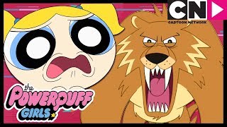 Die Powerpuff Girls Deutsch  15 Minuten Ruhm  Cartoon Network [upl. by Nivlad]