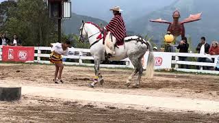 Zapateando JuyayayAnimal Park BañosEcuador [upl. by Nodnahs275]