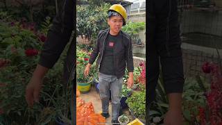 Jcb से बोरा लौड किया working art skill wood hand crafts  shorts [upl. by Aidyl875]