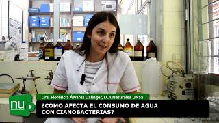 Una investigación de la UNSa permitió identificar la presencia de cianobacterias en el Dique Itiyuro [upl. by Allenrac]