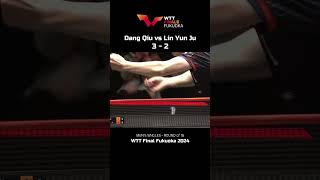 Lin Yun Ju vs Dang Qiu best points WTT Final Fukuoka 2024 👍 shorts tabletennis short [upl. by Nahtam402]