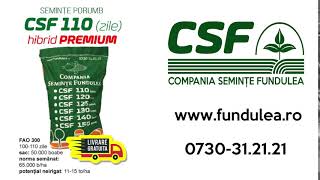 Seminte Fundulea samanta porumb hibrid premium CSF 110 FAO 300 [upl. by Yelnoc]