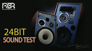 High End Sound Test 24 Bit  Best Voices amp Instrumental  Natural Beat Records [upl. by Lymn]