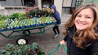 First Load of Spring Color at the Garden Center  Helping Display New Pottery 🌸🙌🌿 [upl. by Sirovaj978]