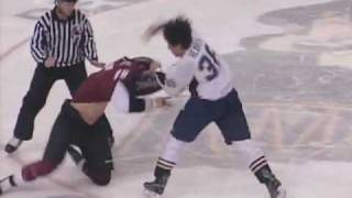 Patrick Bordeleau vs Ryan Reaves 4310 [upl. by Normie780]