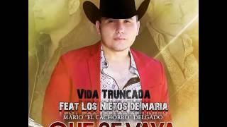 Mario quotEl Cachorroquot Delgado  Vida Truncada Feat Los Hijos De Maria [upl. by Eirod]