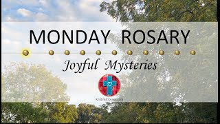 Monday Rosary • Joyful Mysteries of the Rosary 💙 September 23 2024 VIRTUAL ROSARY  MEDITATION [upl. by Cristin]