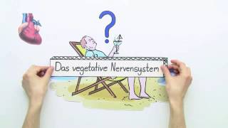 DAS VEGETATIVE NERVENSYSTEM  Biologie  Neurobiologie und Verhalten [upl. by Notlok]