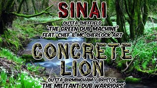 Sinai Sound System  Concrete Lion Sound  Epiphany Sound  2Funky Music Cafe  February 25th 2023 [upl. by Bowles]