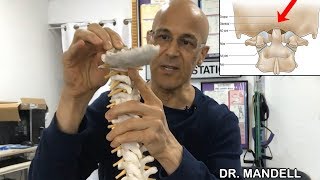 HOW TO FIX YOUR OCCIPUT THE CULPRIT TO NECK PAIN HEADACHES TINNITUS VERTIGO  Dr Mandell DC [upl. by Loredana]