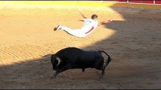 CONCURSO DE RECORTADORES CON NOVILLOS Y EXHIBICION DE SALTOS DE VACAS FITERO 15092018 [upl. by Nrehtak583]