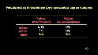 Cryptosporidium [upl. by Kapoor]