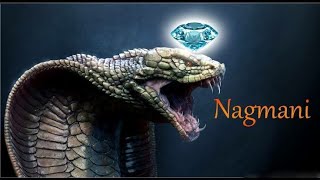 Nagamani Reality or Myth   क्या सच में नागमणि होती है   Nagmani Explained in Hindi [upl. by Tremain209]