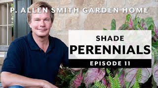 Perennials 3  Plants for Shade  FAQ Garden Home Vlog 2019 4K [upl. by Anhej209]