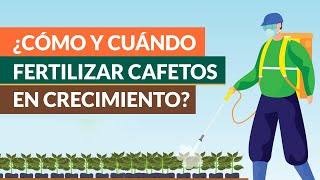 Nutrición para plantaciones Café en Desarrollo [upl. by Etteneg77]