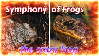 Frog Karaoke A Fun Journey Through Natures Most Unique Voices [upl. by Elodia]