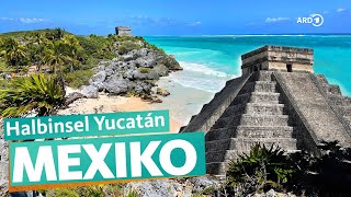 Yucatán – Mexikos Urlaubsparadies  ARD Reisen [upl. by Asilenna494]