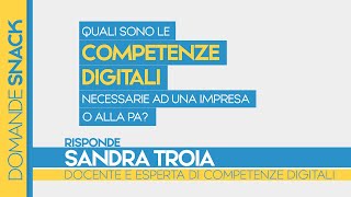 Cosa si intende per competenze digitali di un’impresa o della Pubblica Amministrazione [upl. by Ymeon]