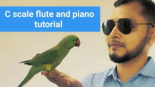 C Scale Flute introductory video  flute basic tutorial [upl. by Anitnahs]